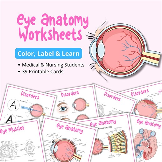 Eye Anatomy Worksheets | Labeling, Coloring & Study Pack | Eye Muscles, Nerves and Disorders | Medical and Nursing Students | Printable PDF - Etsy