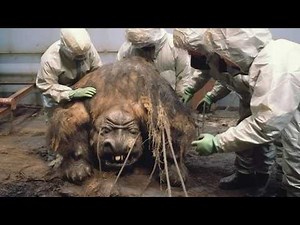 The Most Shocking Mutations Witnessed in Chernobyl's Exclusion Zone!