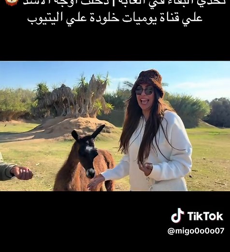تحدي البقاء في الغابة مع الأسد | يوميات خلودة