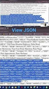 What is API JSON Response? 📡 | Quick Explained with Example