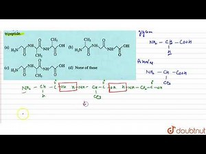 A tripeptide is written as Glycine-Alamine-Glucine. The correct structure o tripeptide.