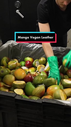 Exploring Mango Vegan Leather as an Eco-Friendly Alternative