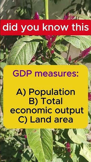 What Does GDP Measure? 💰 | Economics Basics Explained | Finance & Facts | iqvistax #GDP #Economics