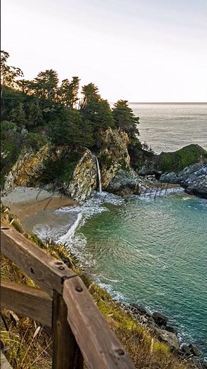 GAR - Seatherny #shorts