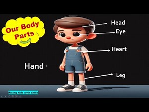 External & Internal Body Parts for Kids | Human Body Parts Names and Functions