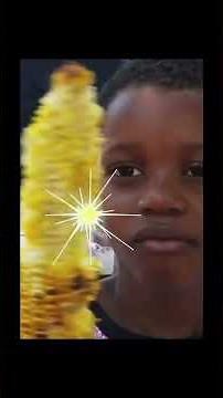 ITS CORN! original interview (FULL)