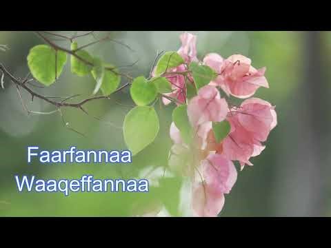 Faarfannaa kadhannaa || walitti fufaa || amazing worship #praiseandworship #christiansongs
