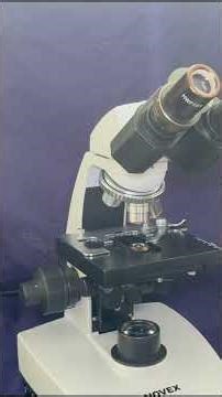 Parts Of A Microscope (On/Off Switch, Rheostat, and Eyepiece Lens). #laboratory #microscope
