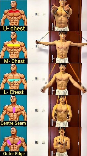 Resistance Band Workout for Beginners 💪 #homeworkout