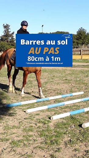 15 exercices de Barres au sol ⤵ sio.terredesportequestre.com/barres-au-sol #cheval #horse #jumping | Terre de Sport Equestre