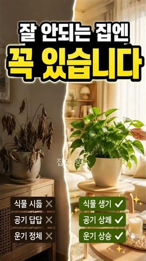 잘 안되는집에 꼭 있는것 #정리수납 #인테리어 #마이너스플러스홈 #라이트라이프 #라라와미루#복테리어 #잘되는집