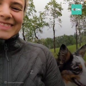 Chaque fois que ce chiot monte sur le cheval, il est très difficile de l’en descendre. C’est très drôle et ses aventures vous feront tomber amoureux. | Social