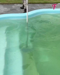 175K views · 53 reactions | La cura della piscina resa semplice da uno specialista esperto. | Fabiosa Italia | Facebook
