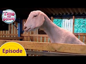 School Trip to the Farm | Time for School Full Episode