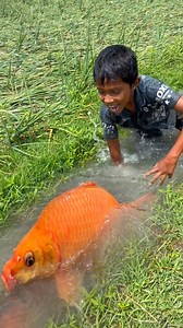 9.9M views · 39K reactions | Amazing Boy Catching Fish By Hand In Drain Water | Rural Fishing BD | Facebook