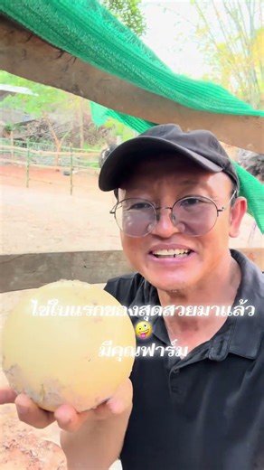 #นกกระจอกเทศ #ostrich #ฟาร์มนกกระจอกเทศ #สุรินทร์
