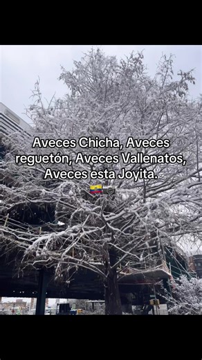 Exploring Chicha and Its Musical Roots