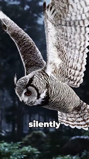 Ever Wondered How Cool Owls Are? (Shocking Facts About Their Abilities!) #shorts #education