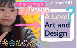 Alevel美术 作品集干货 解析 上