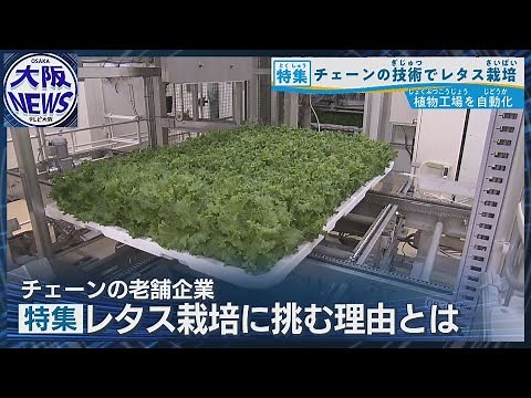 チェーンの世界トップが農業へ!?【椿本チエイン自動化植物工場】100年の技術で新たな市場創造