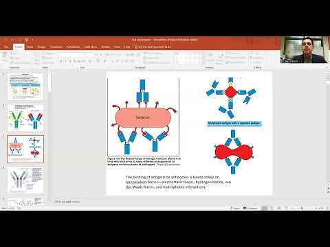 Antibody Structure! Class switching Principle
