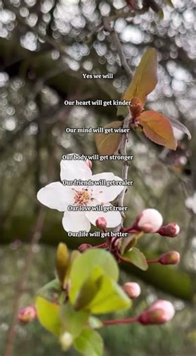 Everything is about to happen betterly