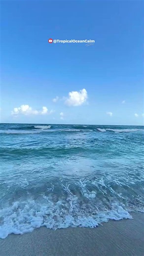 Calm Blue Ocean Waves | Tropical Beach Ambience OceanWaves #TropicalBeach #OceanCalm