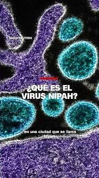 ¿Qué es el virus Nipah y cuáles son sus síntomas?