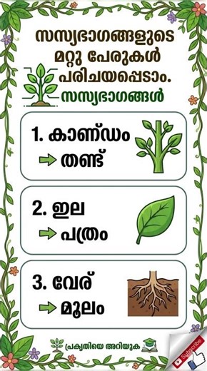 PSC Science Basics Malayalam | Plant Parts Explained#shorts