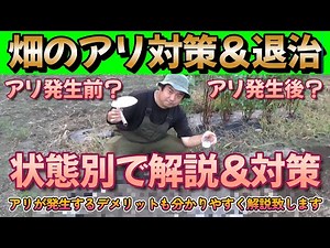 [Ant Control] Introducing ant control and extermination methods that take advantage of ant habits...