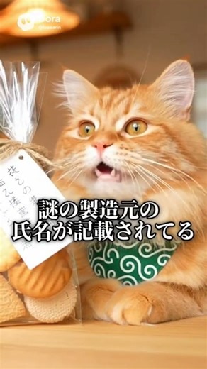 謎のクッキーアソート #ラガマフィン #黒猫 #おしゃれ #お菓子