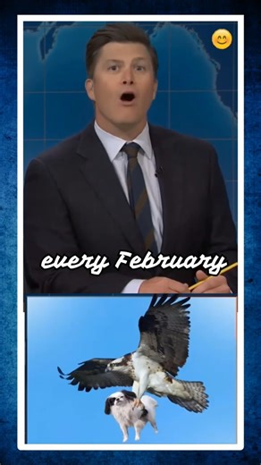 National Small Dogs Day #funny #snl #Shorts