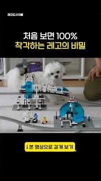 The Secret of LEGO That Everyone Mistakes at First Glance