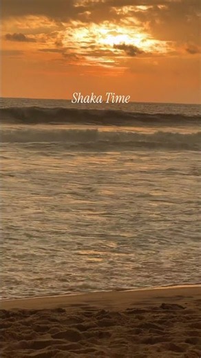 The Answer to Every Problem? Shaka Time 🌺 | Hawaiian Clothing & Aloha Style