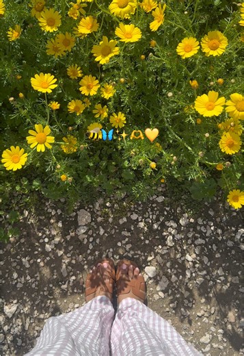 Exploring Limassol, Cyprus: A Local's Guide