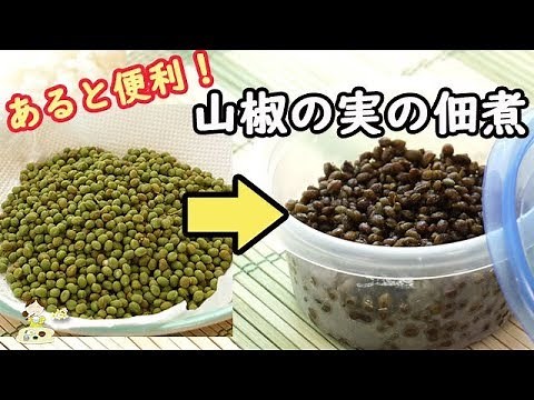 山椒の実の佃煮を作り置き♪冷蔵庫にあるとすぐ使えて便利！炊きものの味がコレで決まる！ 料理 レシピ 簡単