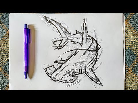 How to Draw a Shark Step by Step / Drawing a Hammerhead Shark / Easy Drawing Tutorials