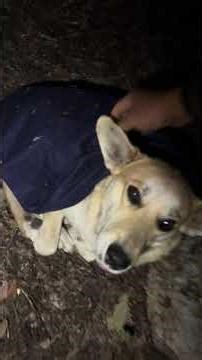 Que descansen buenas noches 😴