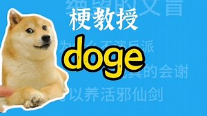 doge是什么梗？【梗教授】