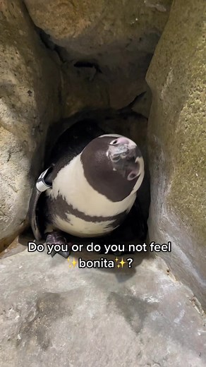 GreensboroScienceCenter on TikTok