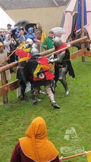 Halberd vs Halberd – When the Fight Becomes a Storm