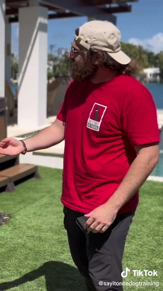 I hate hand signals.. I hate them because the average person cannot separate hand from verbal cue. you always need to say, before movement. I’ll see you in Chicago ➡️ Columbus and California next. #pupp#puppy #gsdp#gsdpuppyp#puppylovep#puppiesoftiktoko#gsdoftiktokp#puppytrainingp#puppytrainert#dogtrainert#dogtrainingt#dogtipsa#dogadvicem#StemDrop001y#foryouu#foruu#4youg#doggos#dogsoftiktokviral