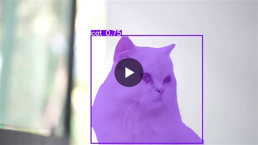 #yolo #computervision #imagesegmentation #deeplearning #ai | M. Bilal Ali