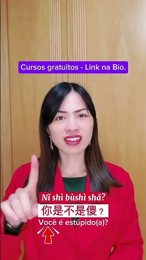 Mandarim para Iniciantes: Como falar "Você é estúpido(a)?" em chinês| Aula Gratuita