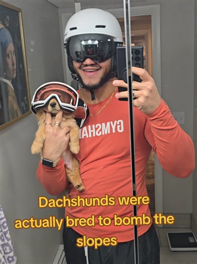 Fantastic Mr. Finneas (@fantasticmrfinneas)’s videos with original sound - Arborno