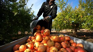Spain's agricultural revolution: mouth-watering fruit and vegetables