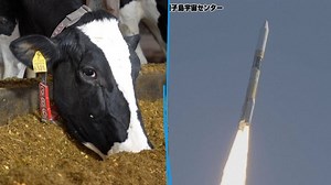 VIDÉO. Japon : un moteur de fusée qui fonctionne avec… des bouses de vaches