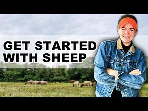 SHEEP FARMING FOR BEGINNERS (Masterclass on Raising Sheep for Profit)