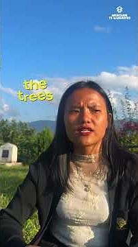 Top Forest Expert Reveals Best Methods for Restoring Nagaland's Forests