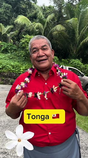 What is flower in your language? Let us know in the comments ⬇️🌸🌺🌷🌻🌼 Song: Tiare Maori 🎶 #flower #language #maori #tonga #kiribati #marshallislands #fiji #tereo #cookislands #rarotonga #polynesian #fyp #maoritiktok #cookislandsmaori #culture #pacific #fypシ #polynesianpeople💗 #pacificislander